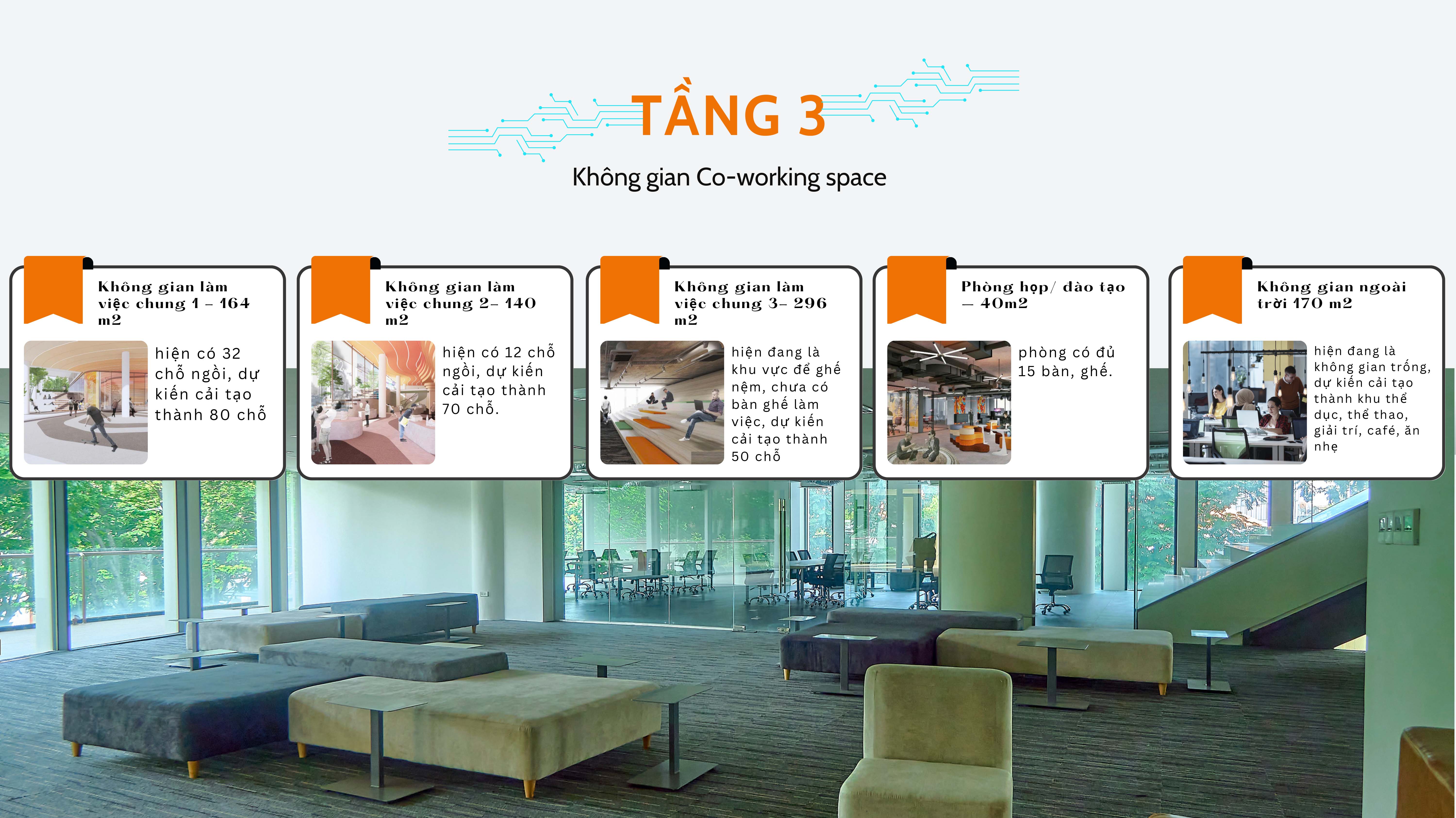 Gallery 7